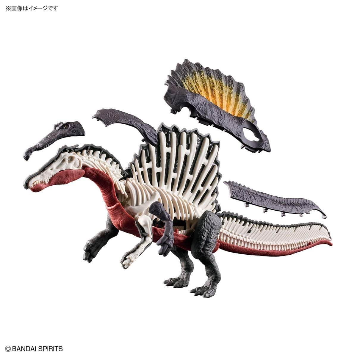 Bandai 5065427 Plannosaurus Spinosaurus Dinosaur Model Kit - Image 3