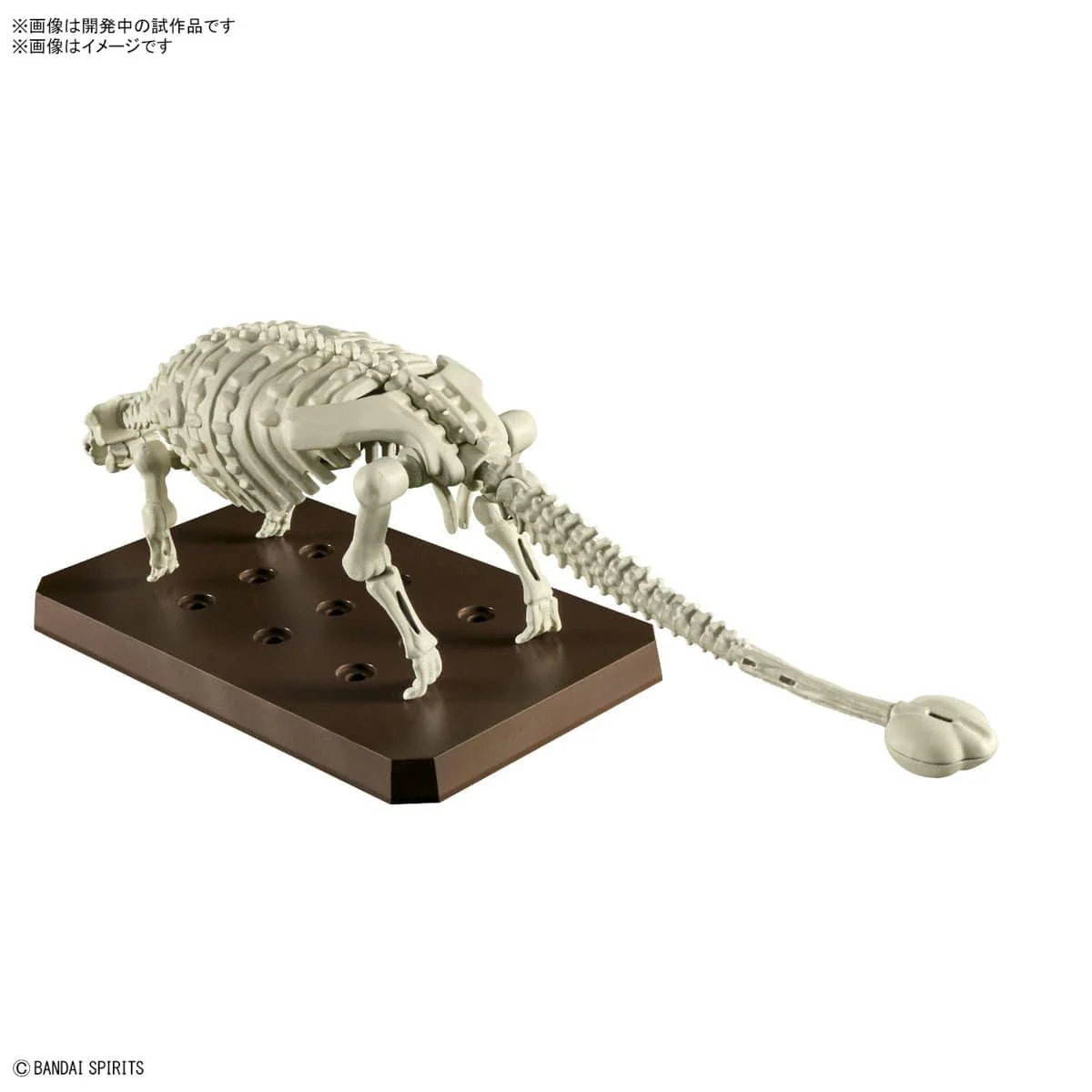 Bandai G5065702 Planosaurus Ankylosaurus Dinosaur Model Kit - Image 3