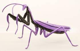 Fujimi Evangelion Edition Big Mantis Type Unit-01 (FI No.231) Plastic Model Kit - Image 2