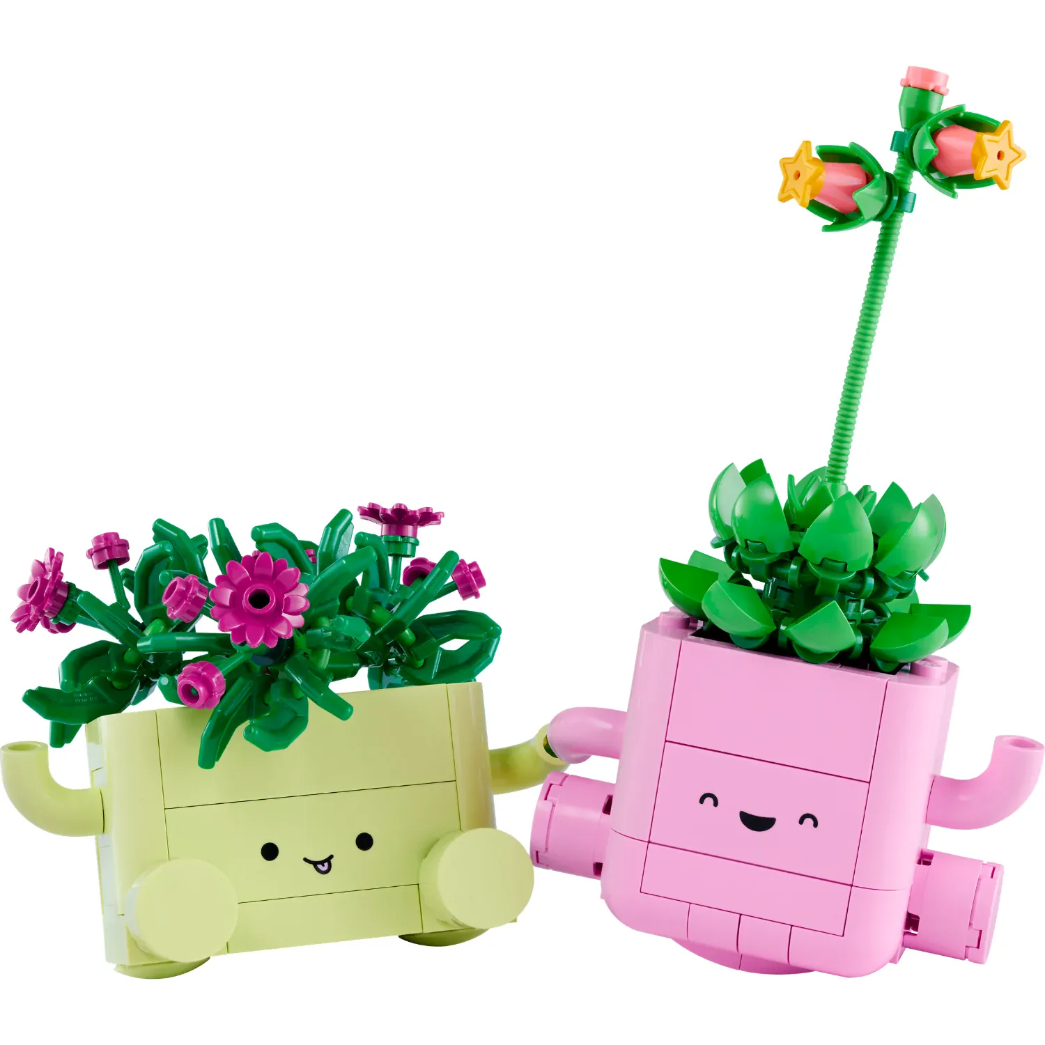 LEGO Botanicals: Rocking Plants [11506] - Image 2