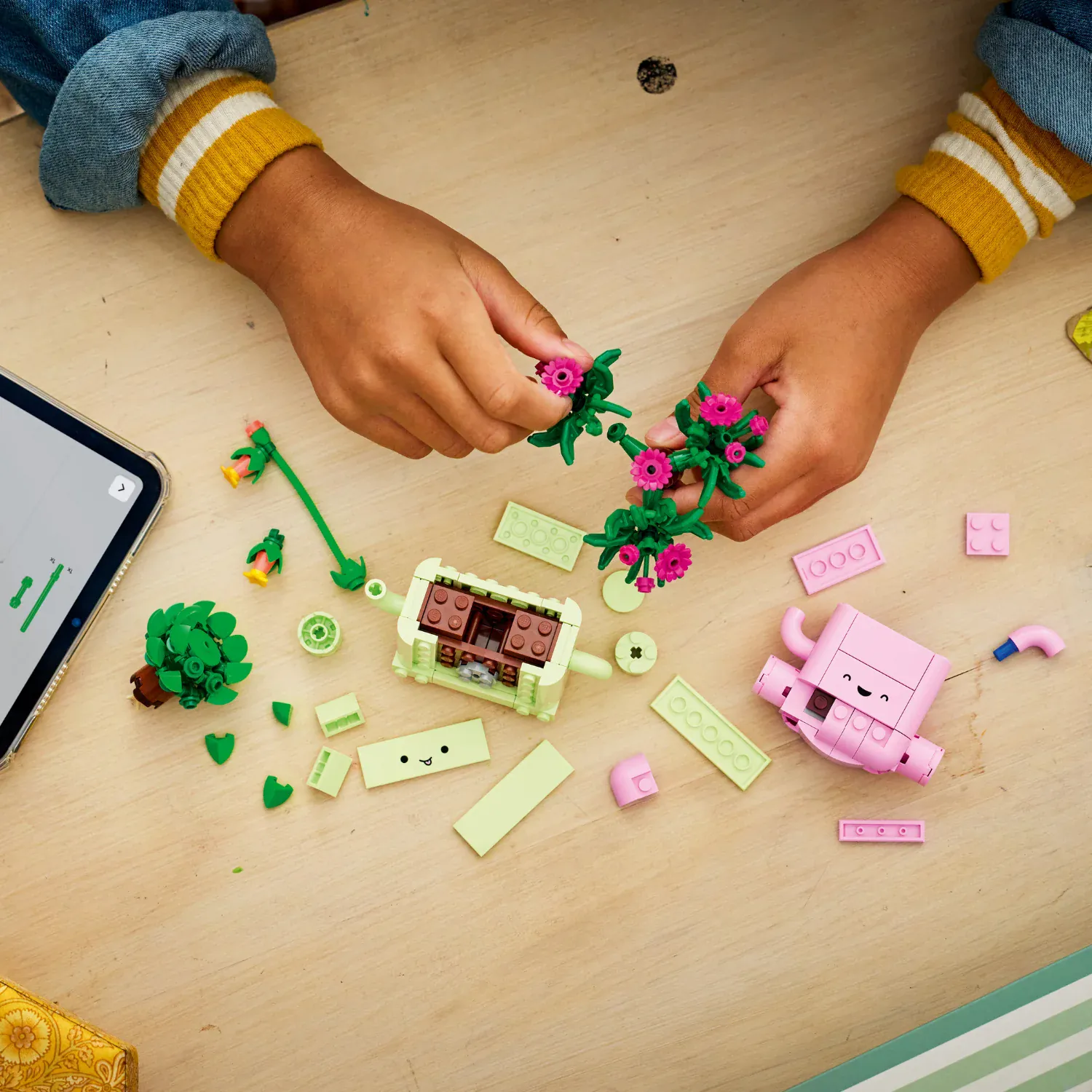 LEGO Botanicals: Rocking Plants [11506] - Image 5