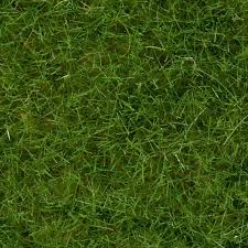Noch 07092 Wild Grass Light Green 100G Tub - Image 2