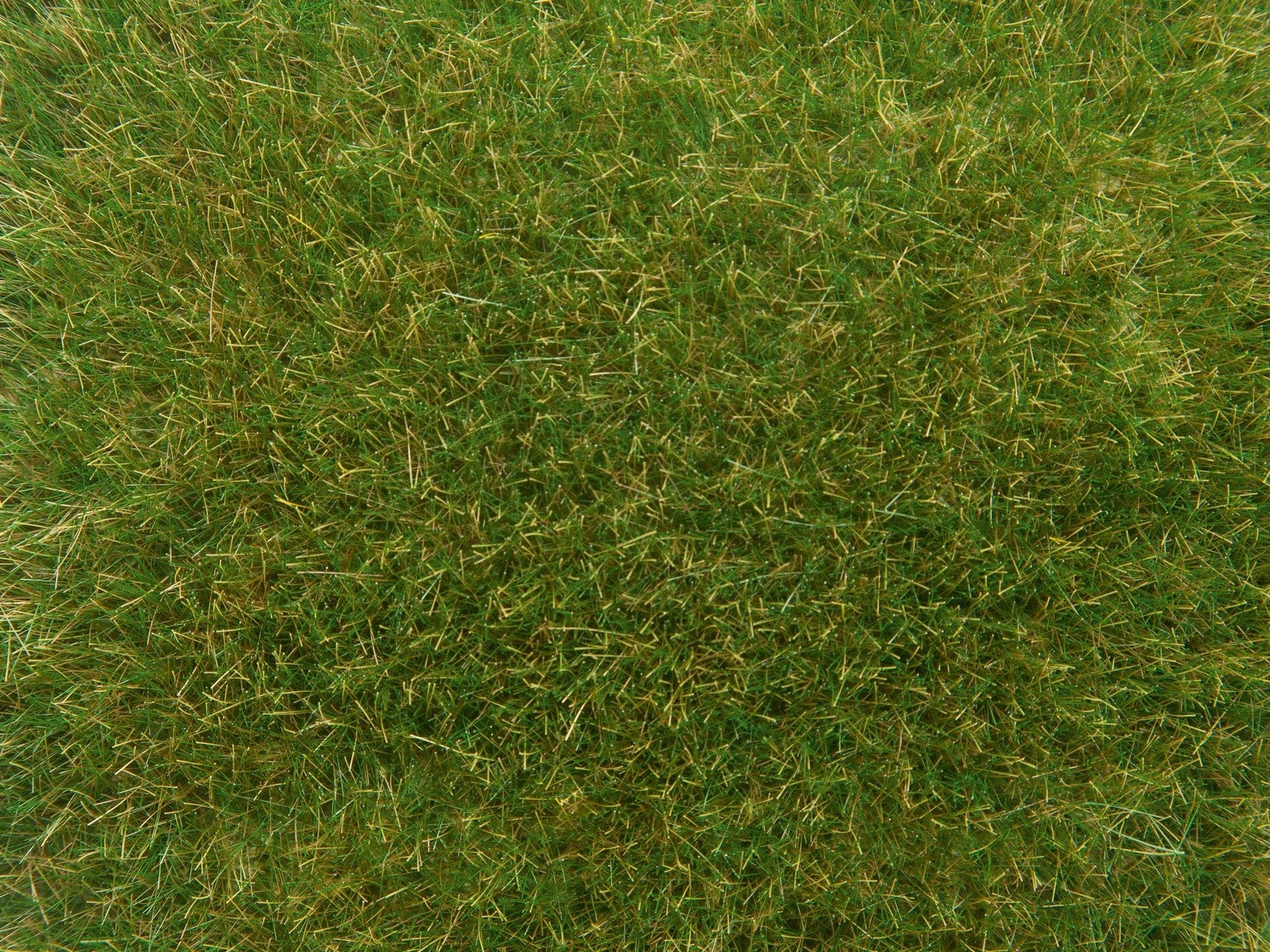 Noch Wild Grass - Medium Green 9mm 50g [07118]