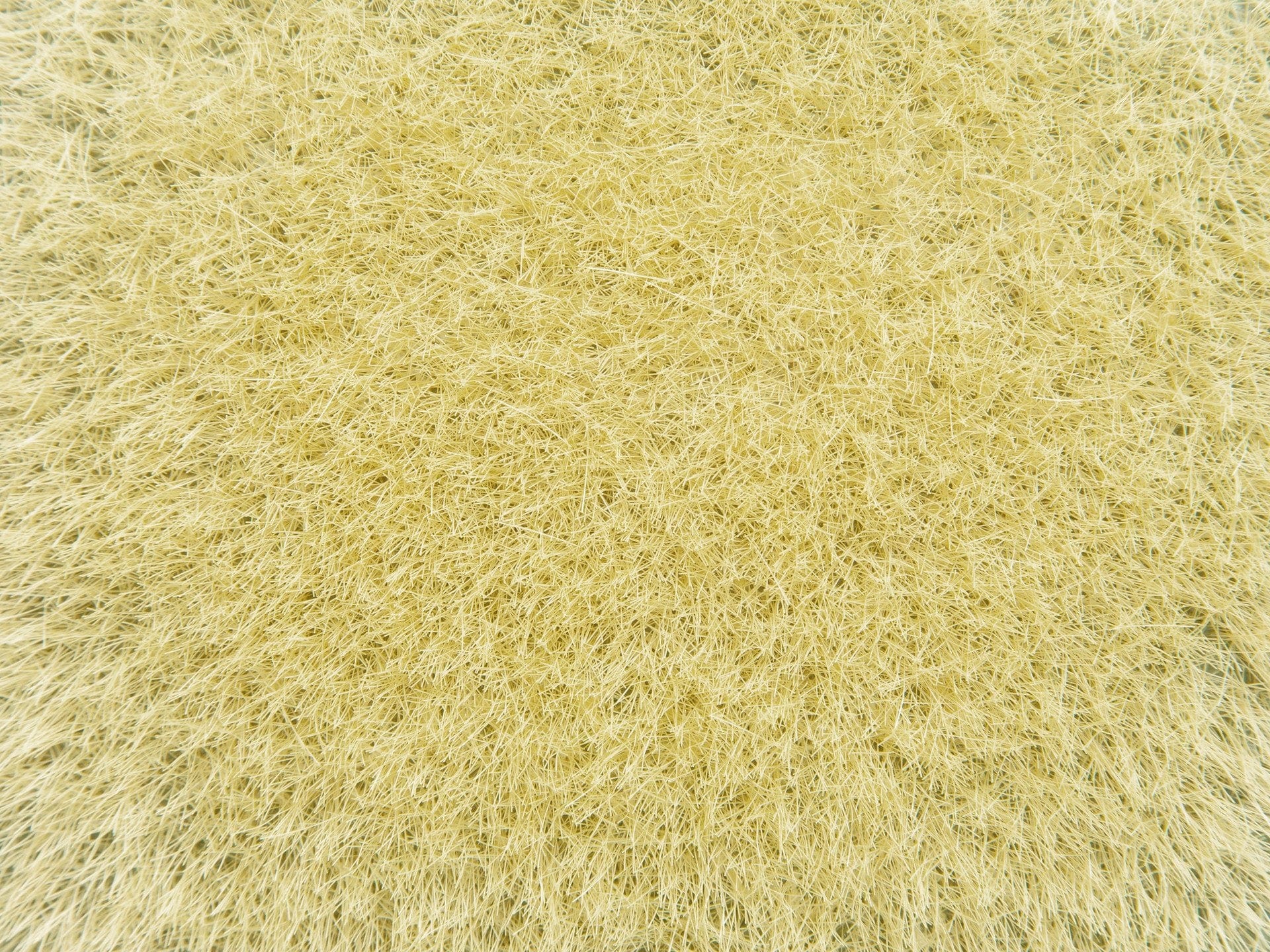Noch Wild Grass - Golden Yellow 9mm 50g [07119]