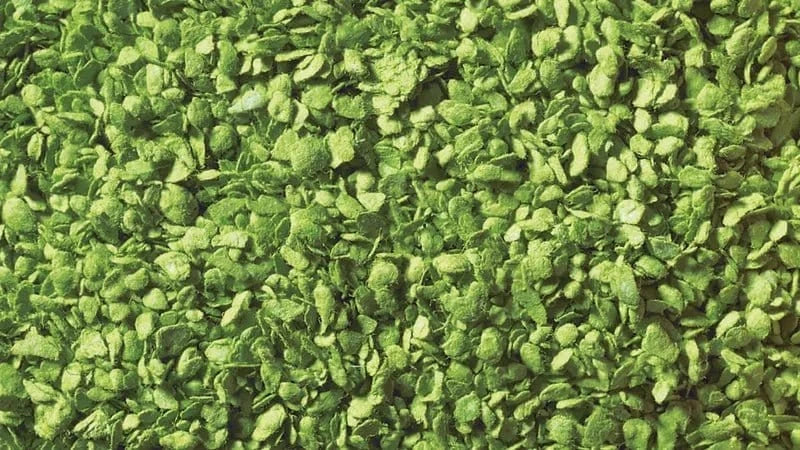 Noch Leaves Light Green 100g [07152]
