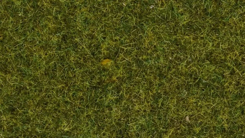 Noch Scatter Grass - Meadow 4mm 20g [08361] - Image 2