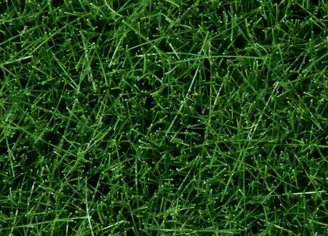 Noch Wild Grass - Dark Green 6mm 100g [07094]**