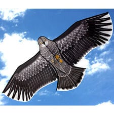 Ocean Breeze Eagle Single Line Kite