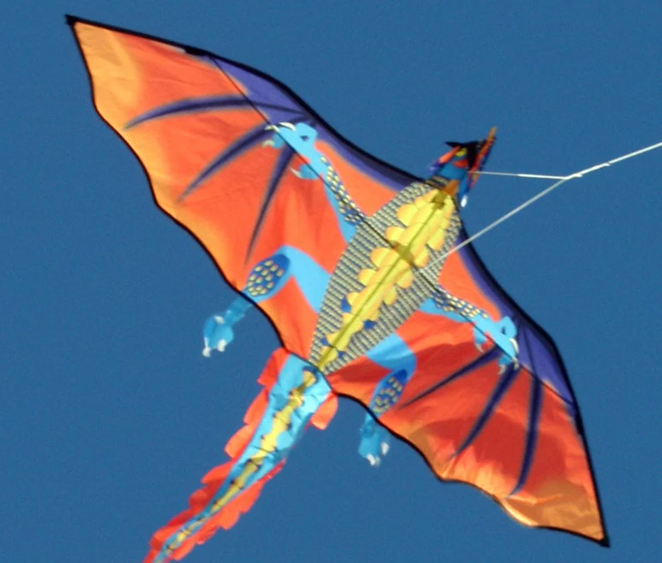 Ocean Breeze Fire Dragon Single Line Kite