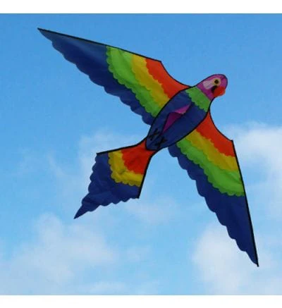 Ocean Breeze Lorikeet Single String Kite