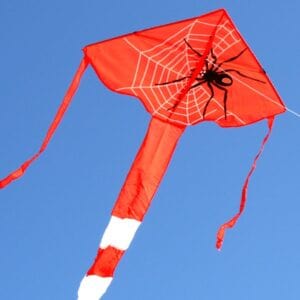 Ocean Breeze Spider Delta Single String Kite