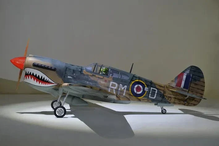 Phoenix Model P-40 Warhawk 30cc Carbon ARF - Image 2