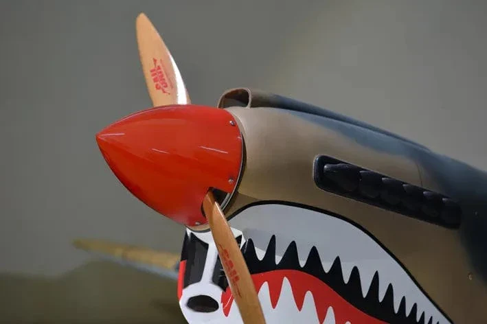 Phoenix Model P-40 Warhawk 30cc Carbon ARF - Image 7