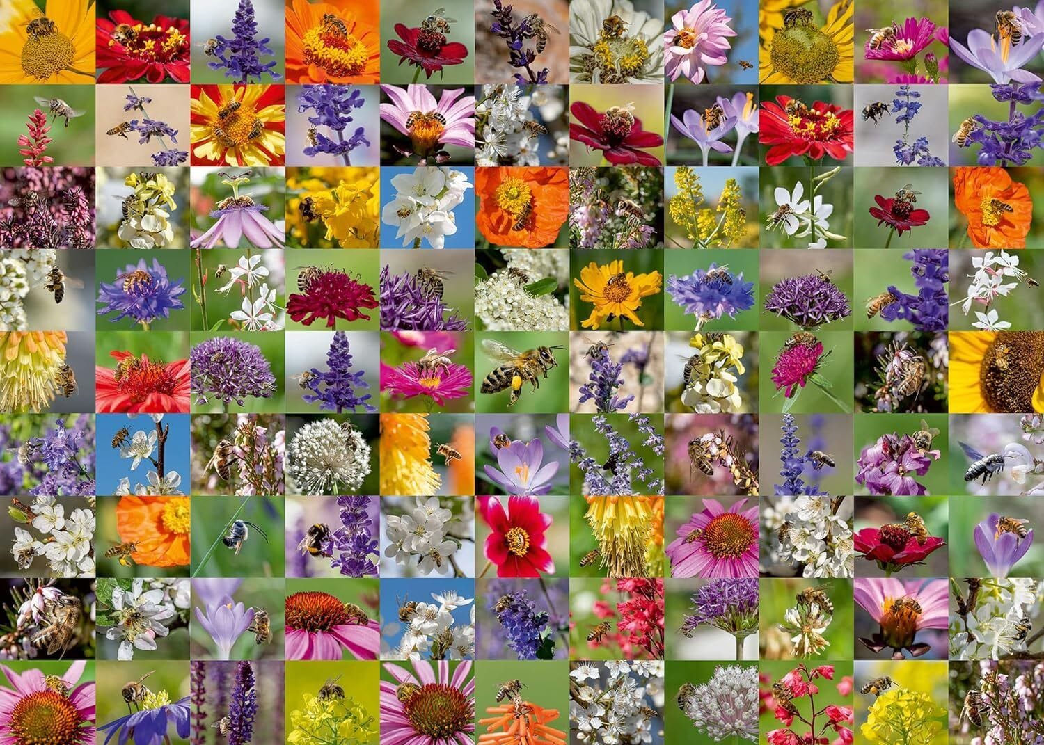 Ravensburger 99 Bees 1000pc Puzzle - Image 2