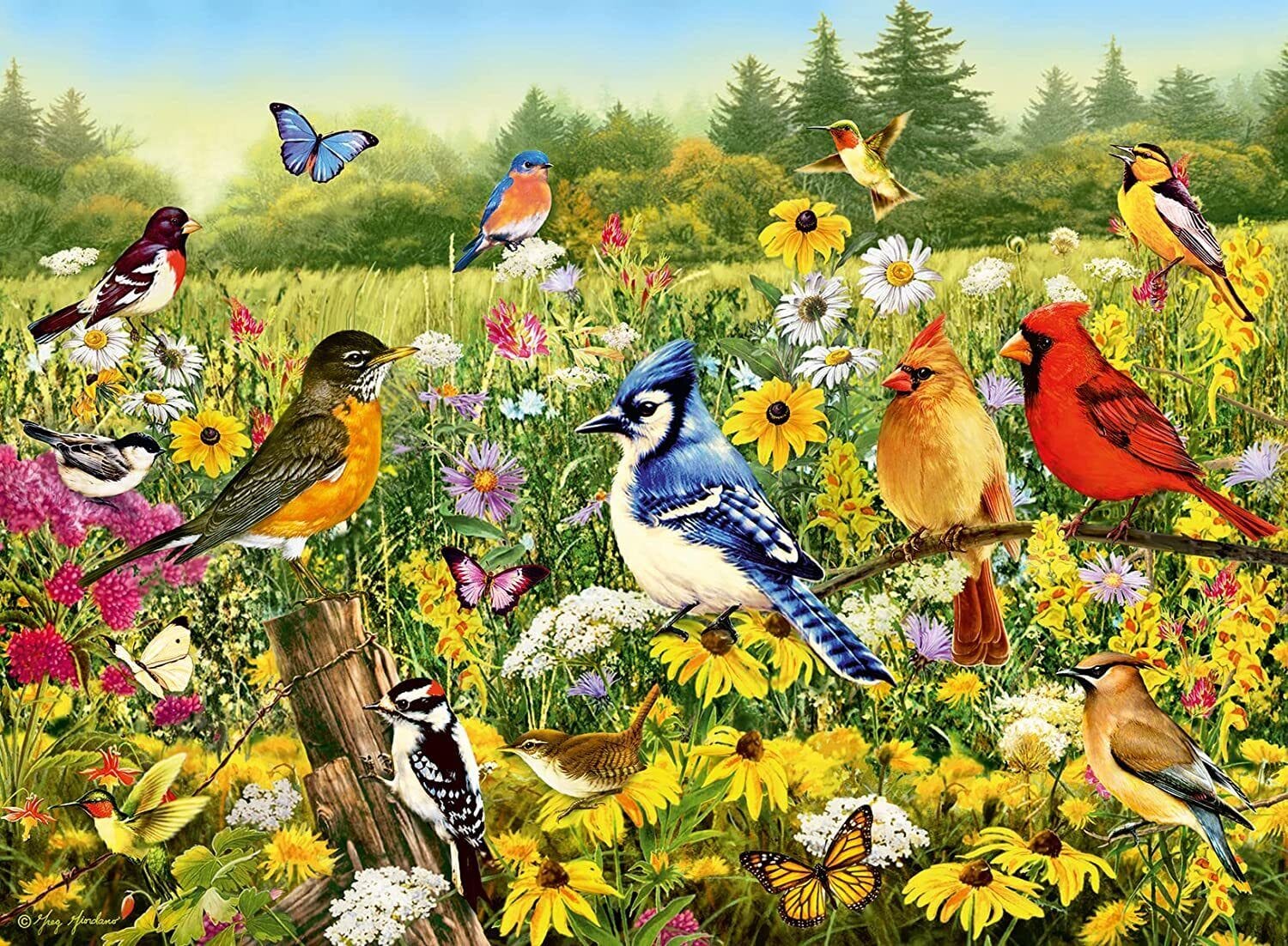 Ravensburger Birds in the Meadow 500pc Puzzle - Image 2