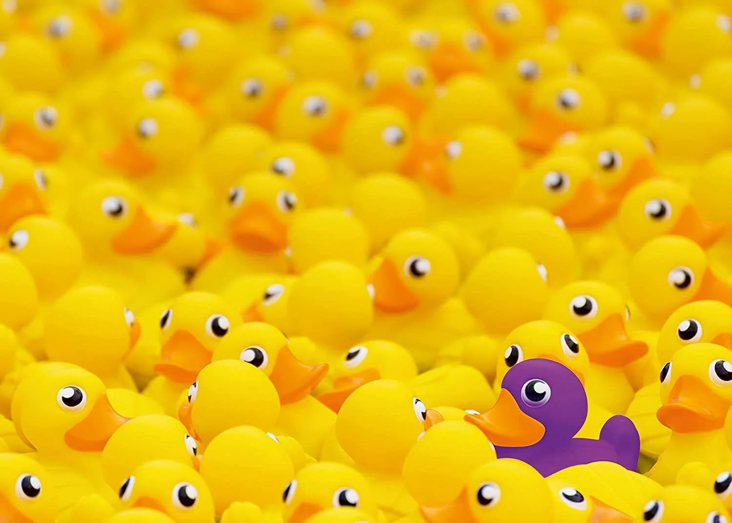 Ravensburger Rubber Ducks Challenge 1000pc Puzzle - Image 2