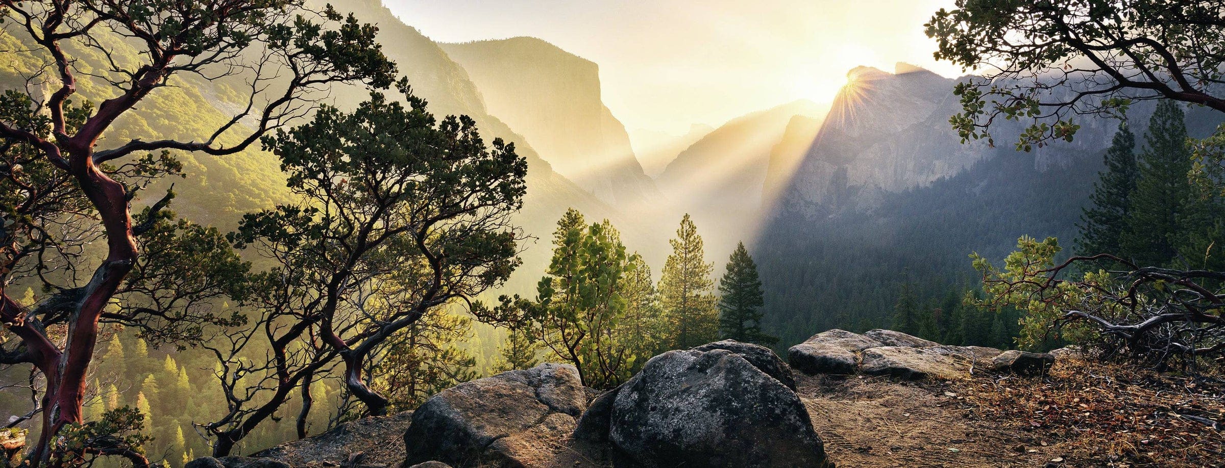 Ravensburger Yosemite Park 1000pc Puzzle - Image 2