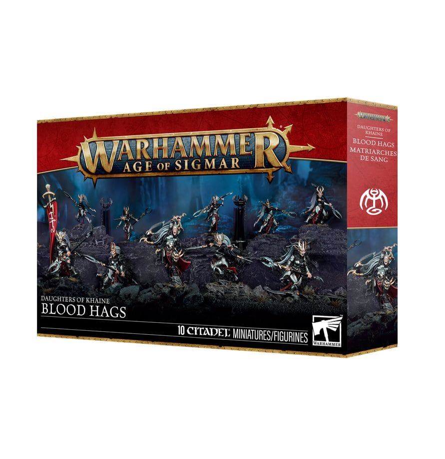 Warhammer Age of Sigmar Daughters Of Khaine: Blood Hags [85-66]
