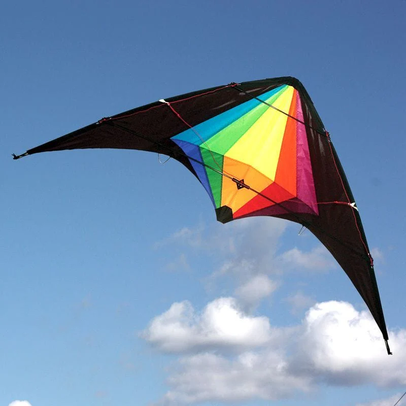 Windspeed Black Widow Sport Dual Line Kite