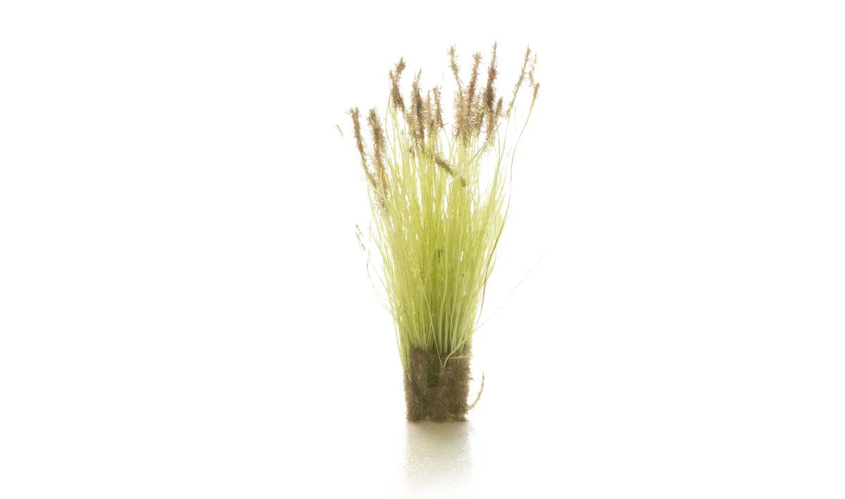 Woodland Scenics FS779 Brown Tipped Prairie Grass - Image 2